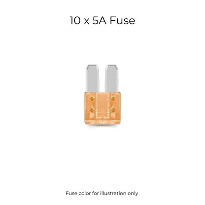 Micro2 & Blade Fuse Assortment Kit for Automotive Electricals (10 Pcs)