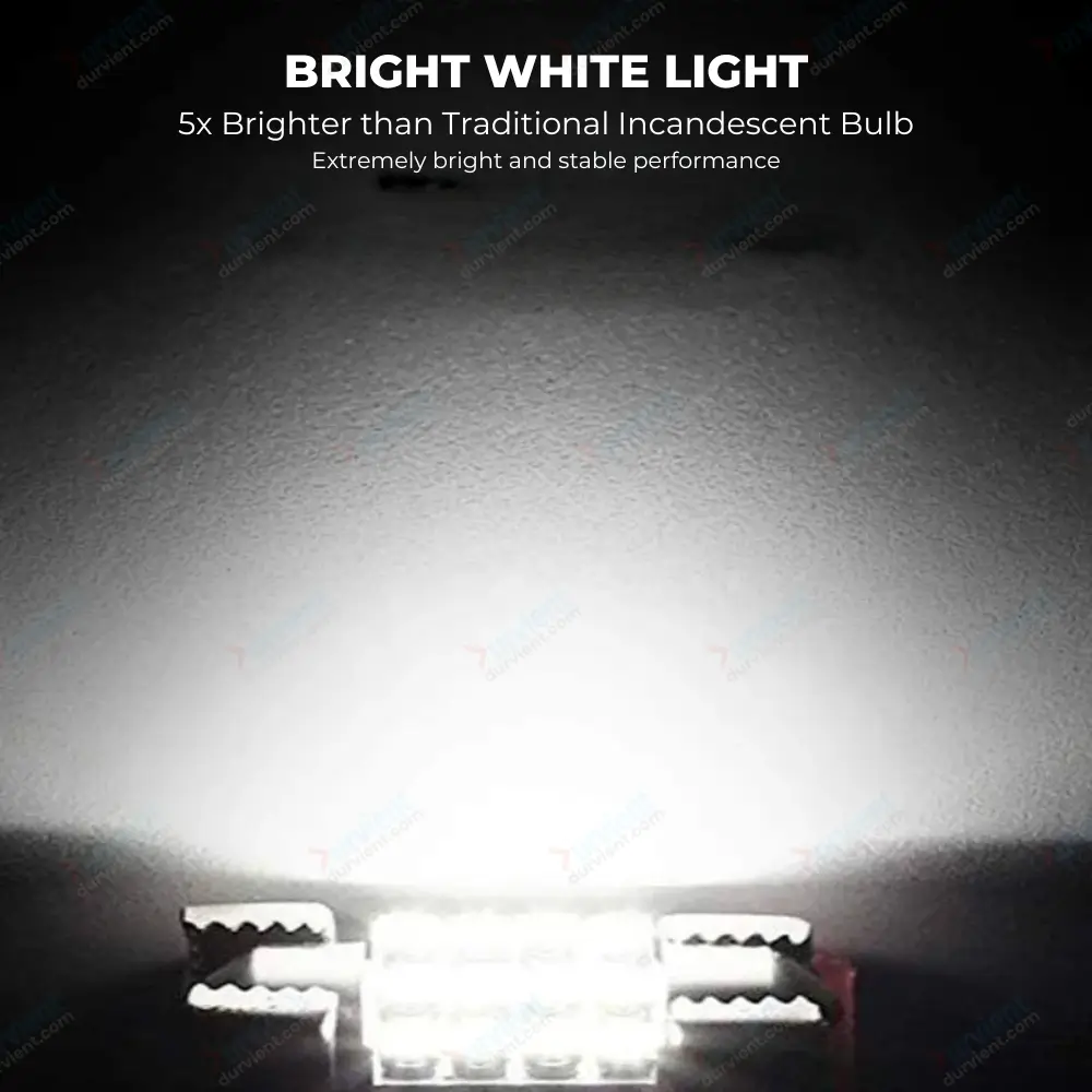 Durvient Canbus Error Free Festoon LED Light (White) - 31mm, 36mm, 38mm,  41mm Sizes - Durvient