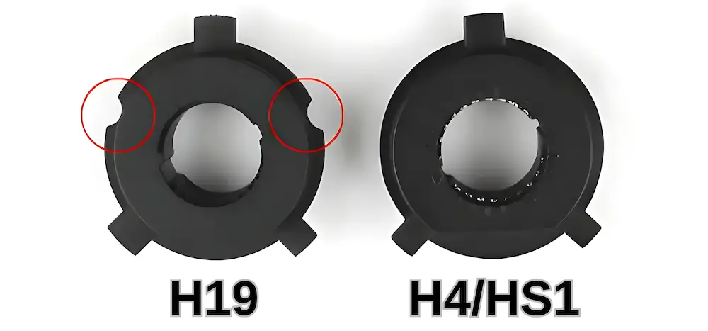 Difference in H4 and H19