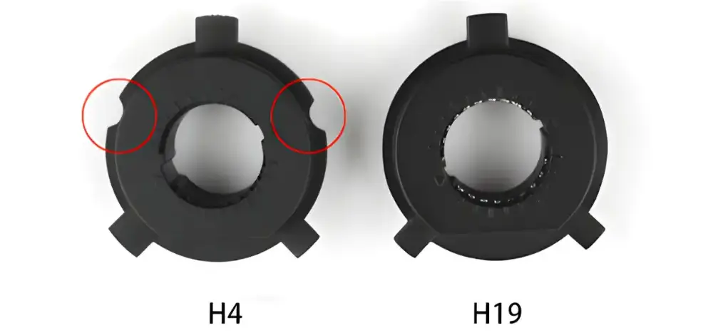 Difference in H4 and H19